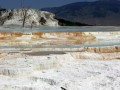 Mammoth Hot Springs